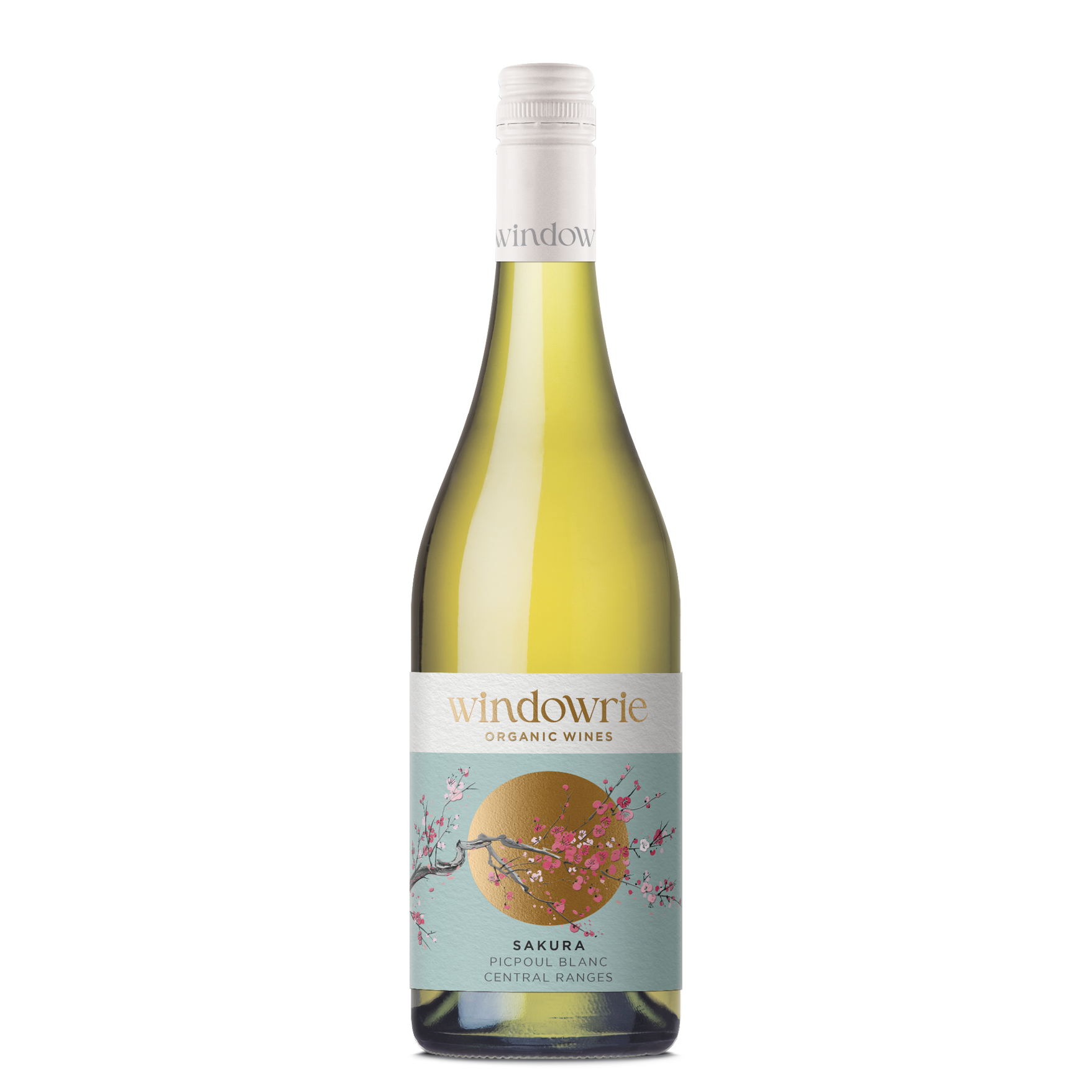 SAKURA PIQUEPOUL BLANC 2024